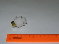   1 . P21 (  )