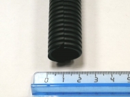    D=17 (  1)