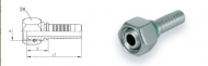  d 06 BSP 1/8